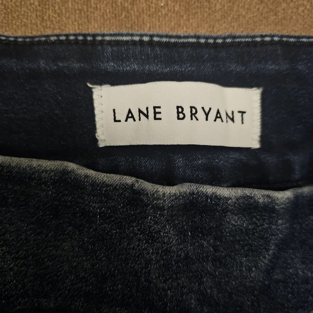 Lane Bryant stretch pull great
